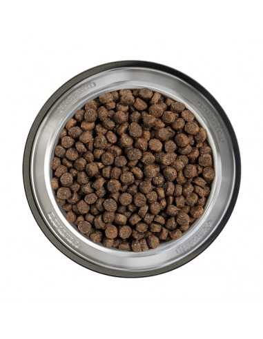 Belcando Finest Grain Free Salmon