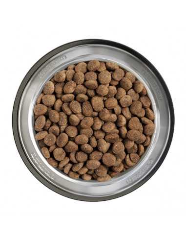 Belcando Finest Light